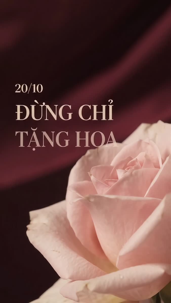 Ưu đãi 20/10 tại Phú Gia Hotel – Giảm đến 10% khi đặt qua website